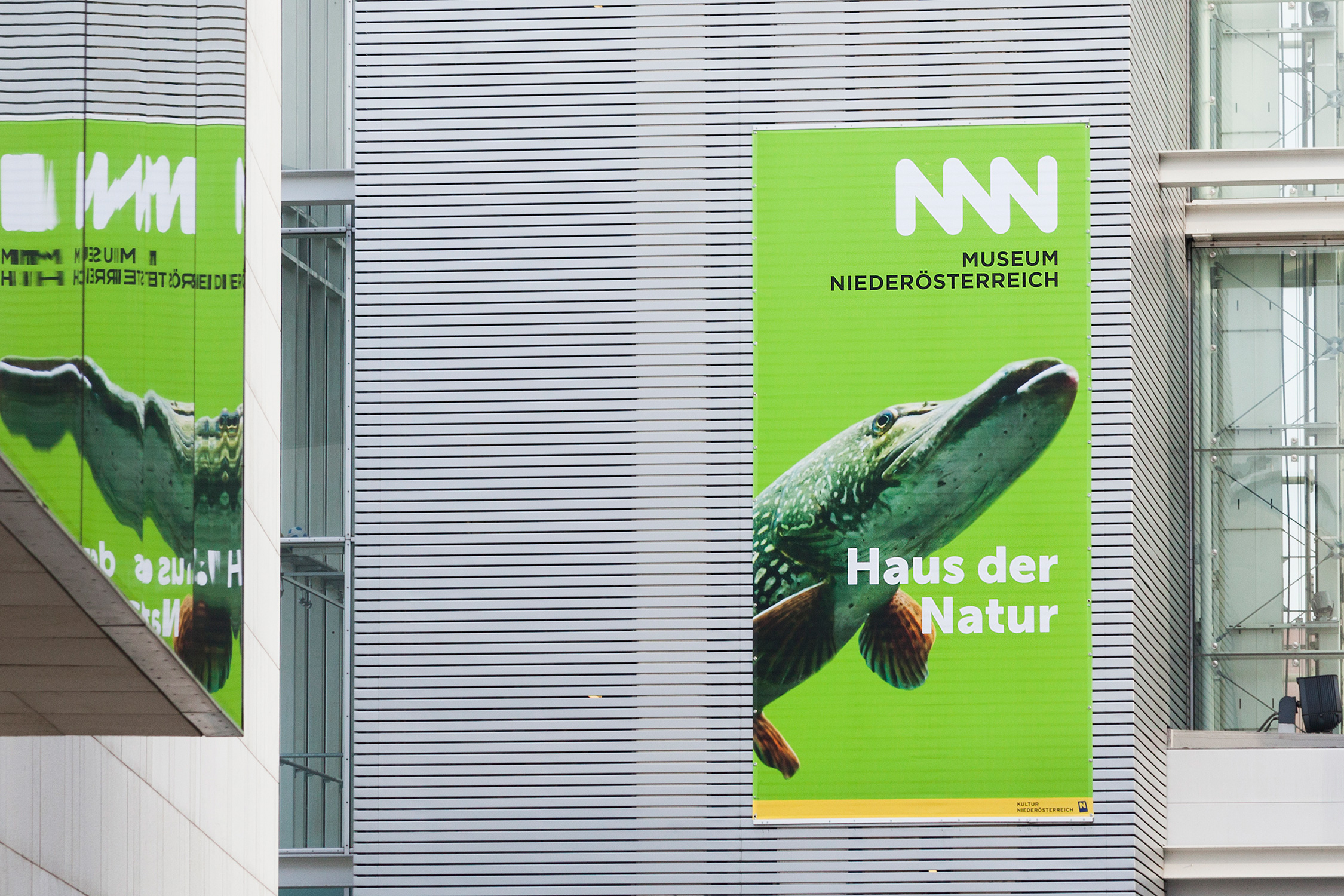 museum_noe_cd_aussenwerbung_pavicsits