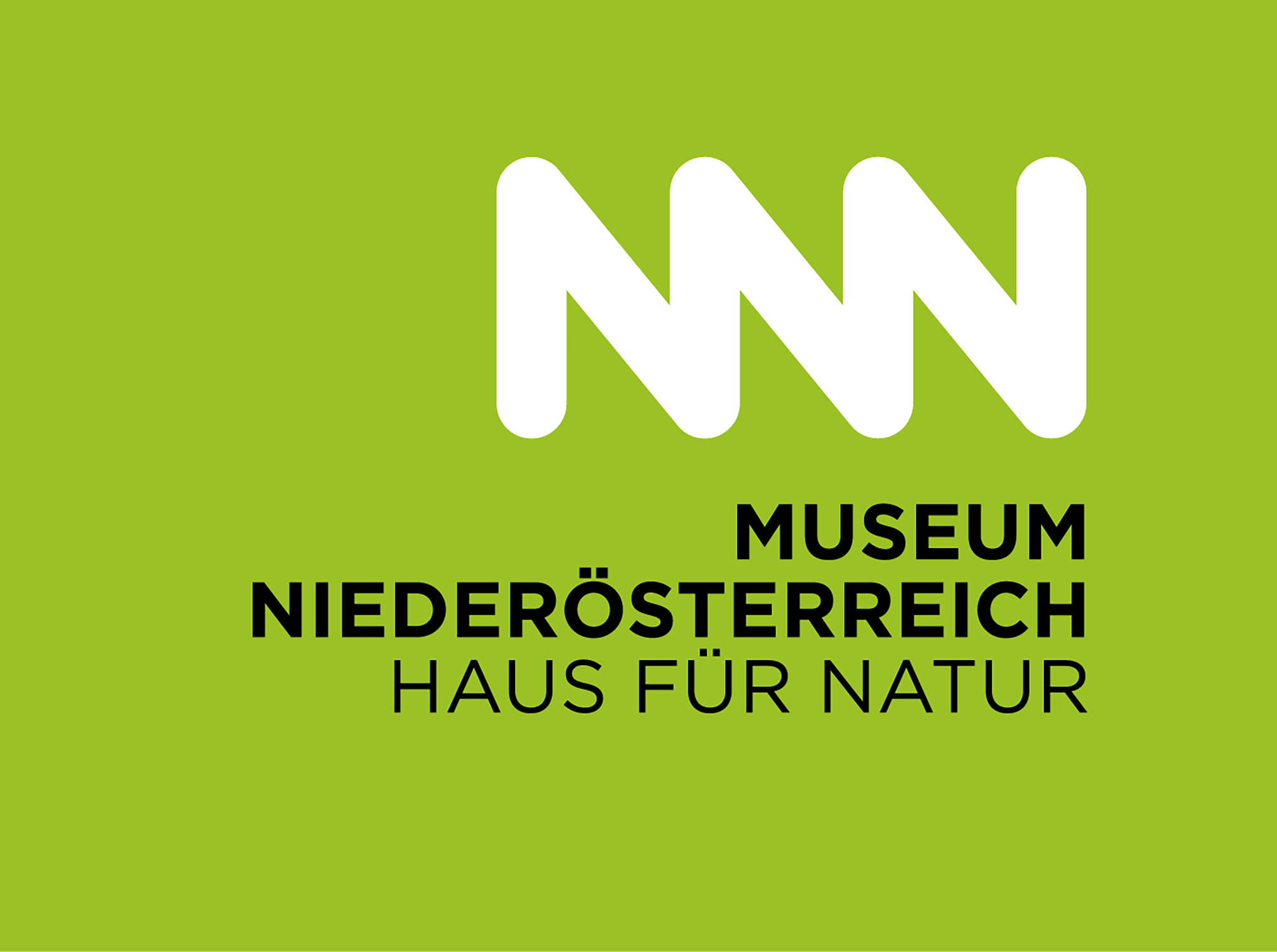 museum_noe_cd_logo_gruen_pavicsits